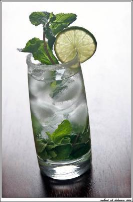 20060922120125-mojitopb.jpg