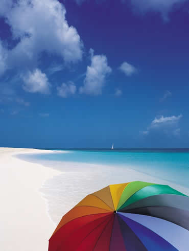 20080824134954-umbrella1.jpg